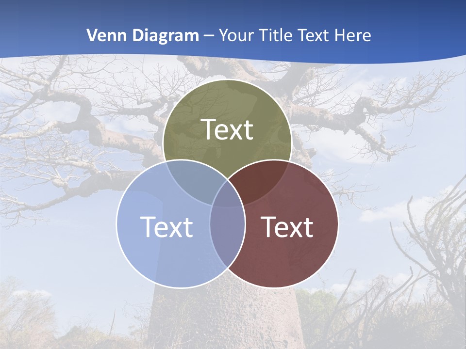 Branch Adansonia High PowerPoint Template