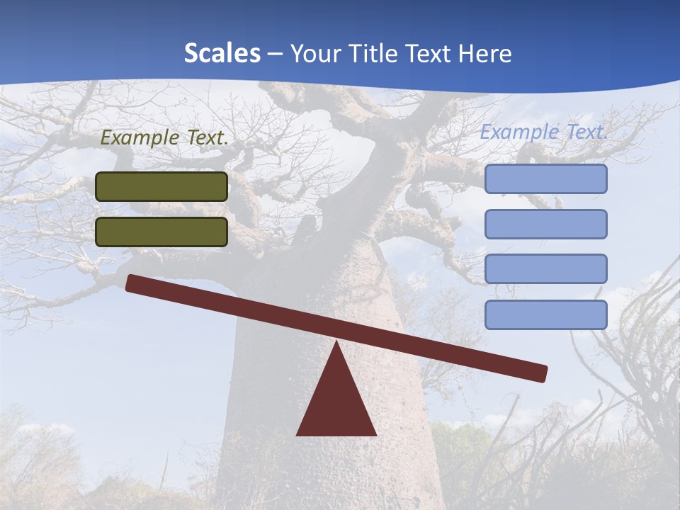 Branch Adansonia High PowerPoint Template