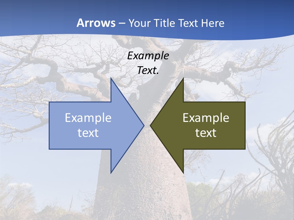 Branch Adansonia High PowerPoint Template