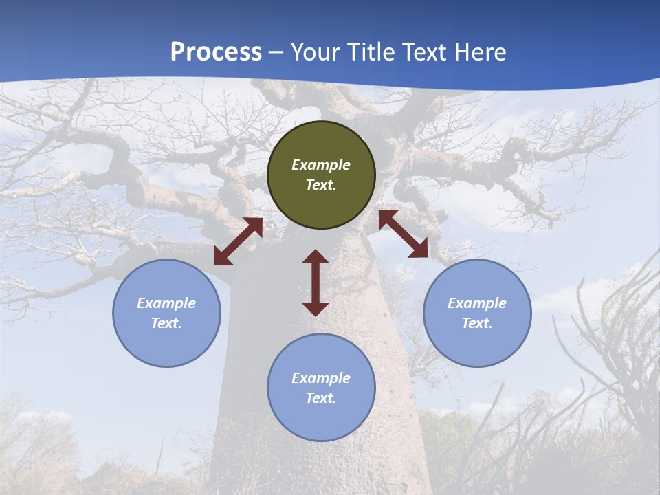 Branch Adansonia High PowerPoint Template