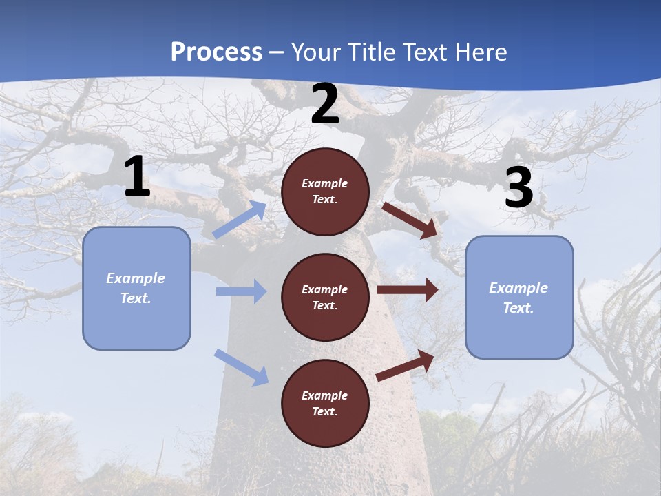 Branch Adansonia High PowerPoint Template