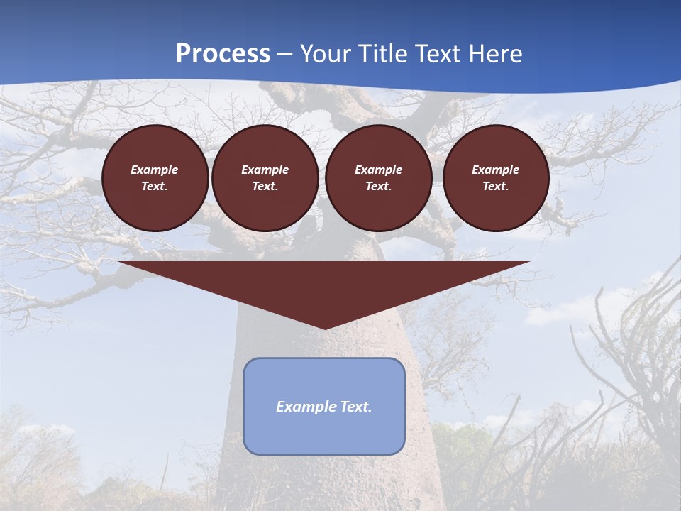 Branch Adansonia High PowerPoint Template