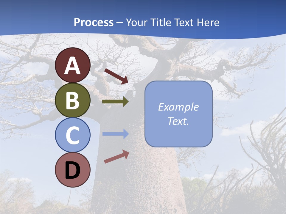 Branch Adansonia High PowerPoint Template