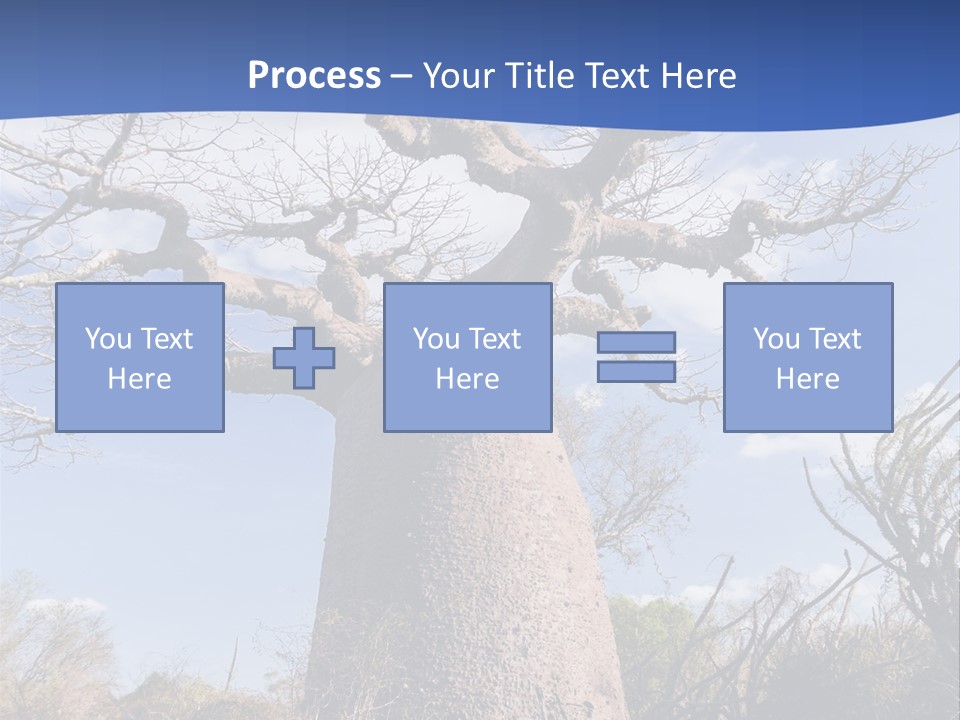 Branch Adansonia High PowerPoint Template