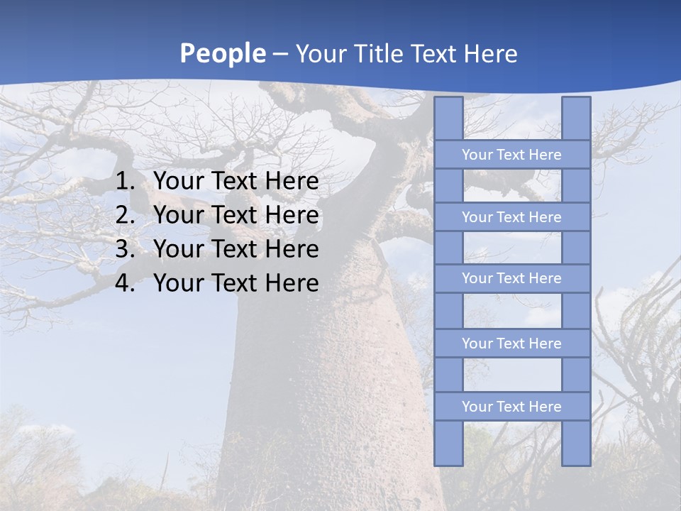 Branch Adansonia High PowerPoint Template