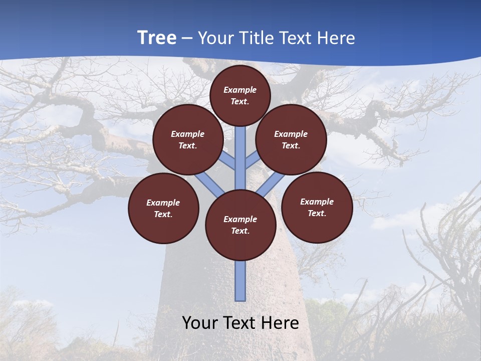 Branch Adansonia High PowerPoint Template