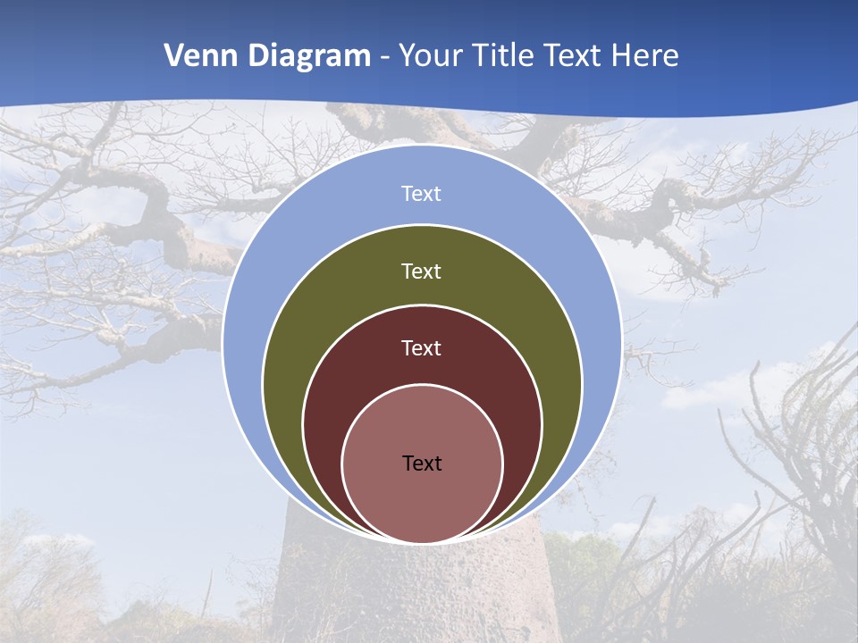 Branch Adansonia High PowerPoint Template