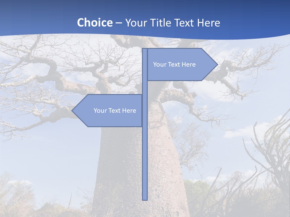 Branch Adansonia High PowerPoint Template