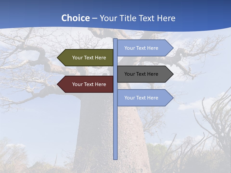 Branch Adansonia High PowerPoint Template