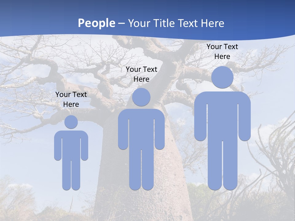 Branch Adansonia High PowerPoint Template