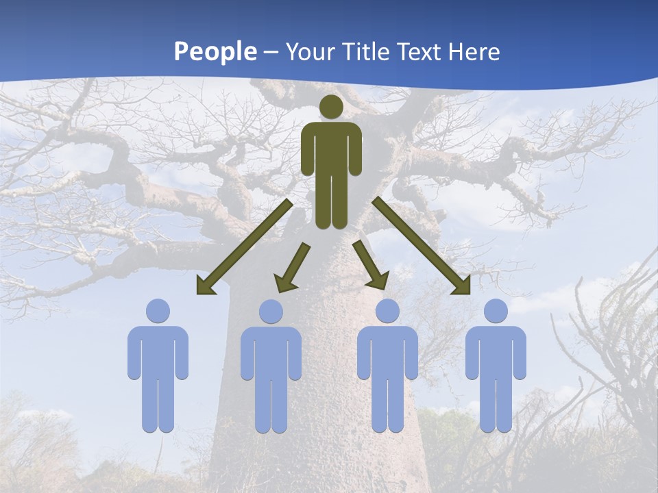 Branch Adansonia High PowerPoint Template
