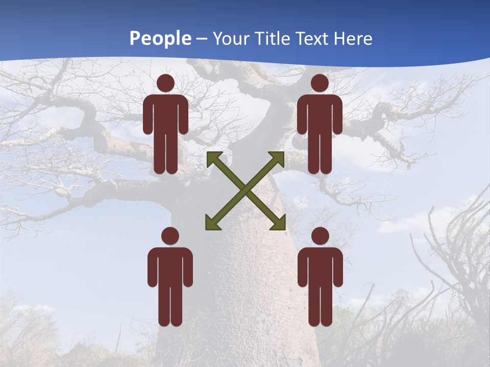 Branch Adansonia High PowerPoint Template