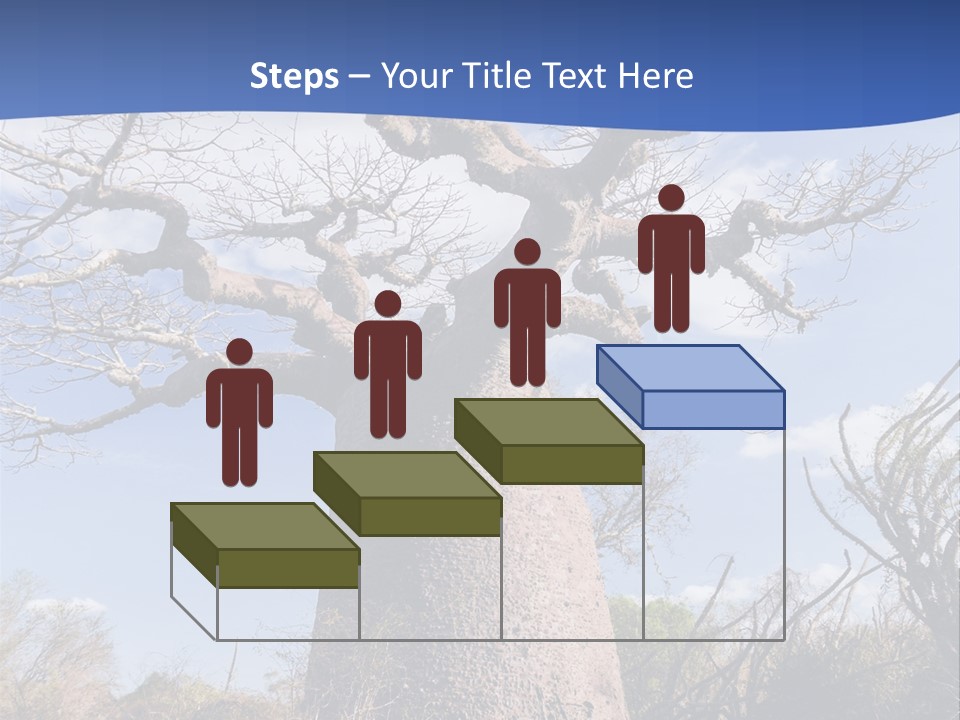Branch Adansonia High PowerPoint Template