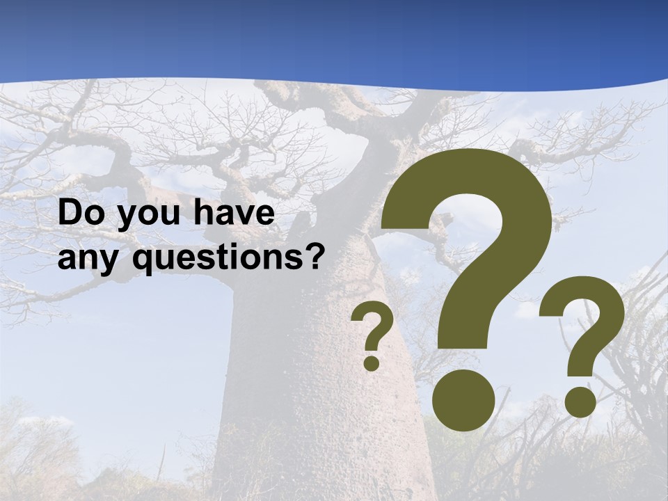 Branch Adansonia High PowerPoint Template