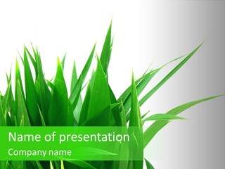 Prairie Golf Feuilles PowerPoint Template