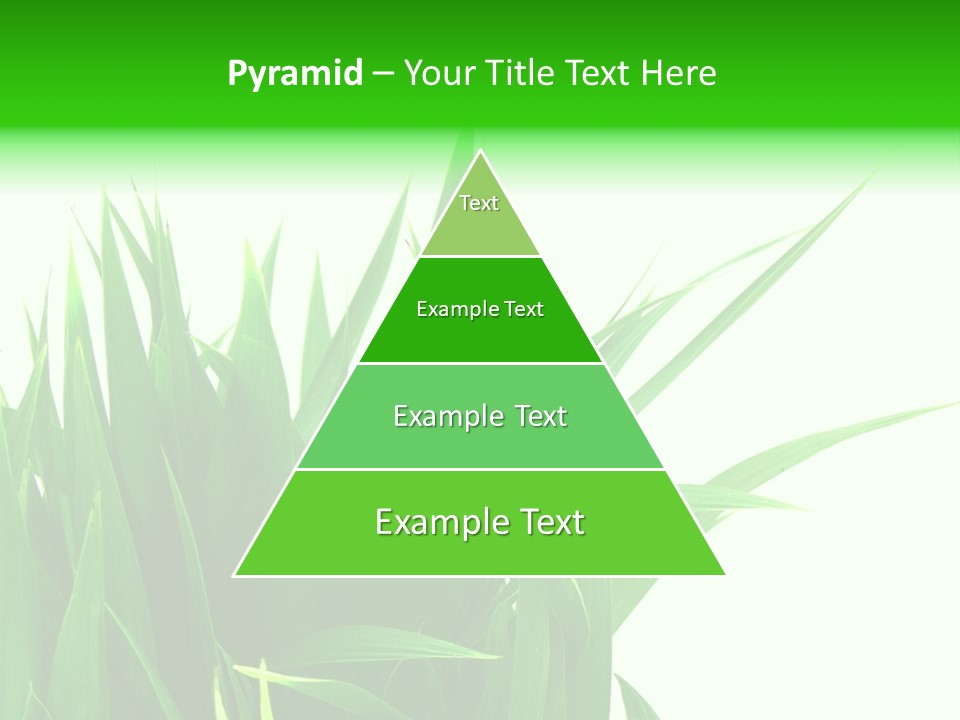 Prairie Golf Feuilles PowerPoint Template