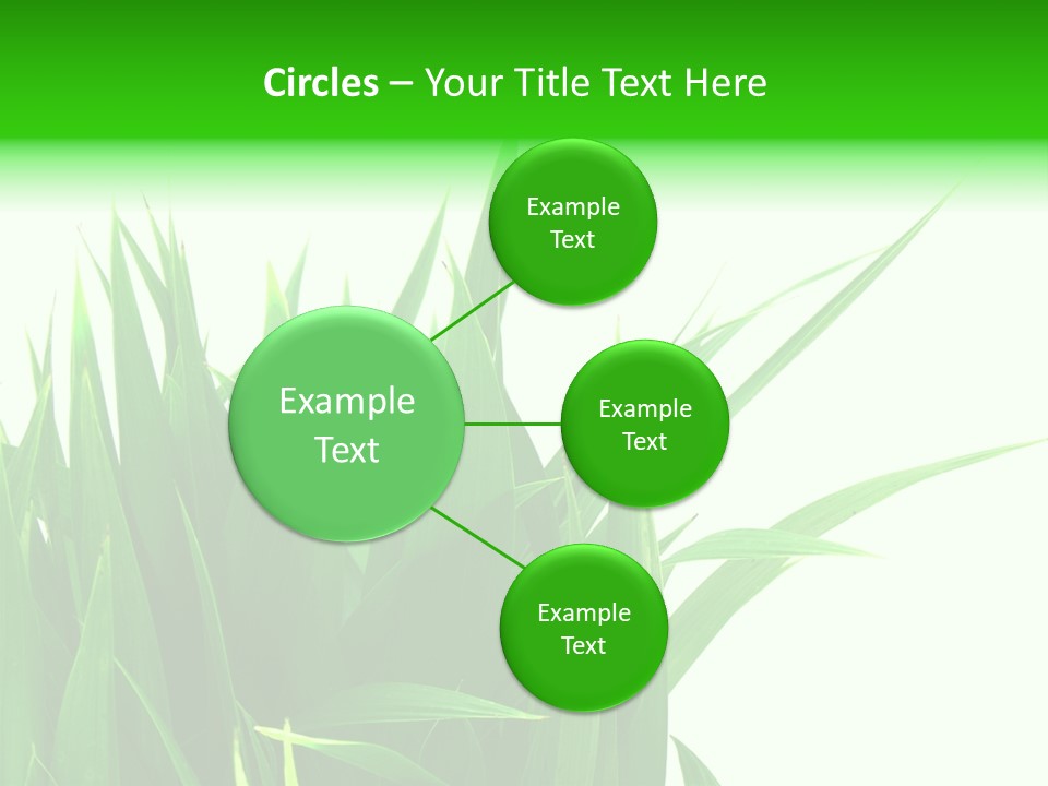 Prairie Golf Feuilles PowerPoint Template