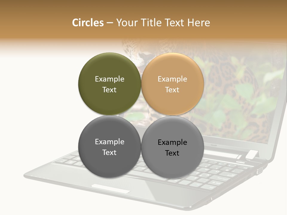 Cat Button Isolated PowerPoint Template