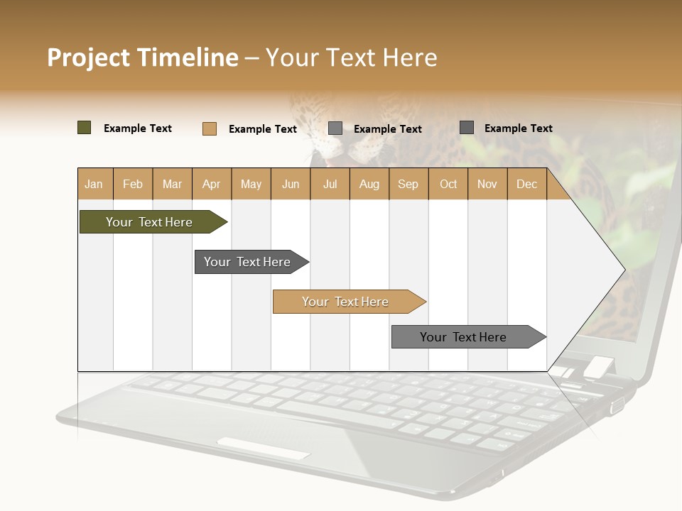 Cat Button Isolated PowerPoint Template