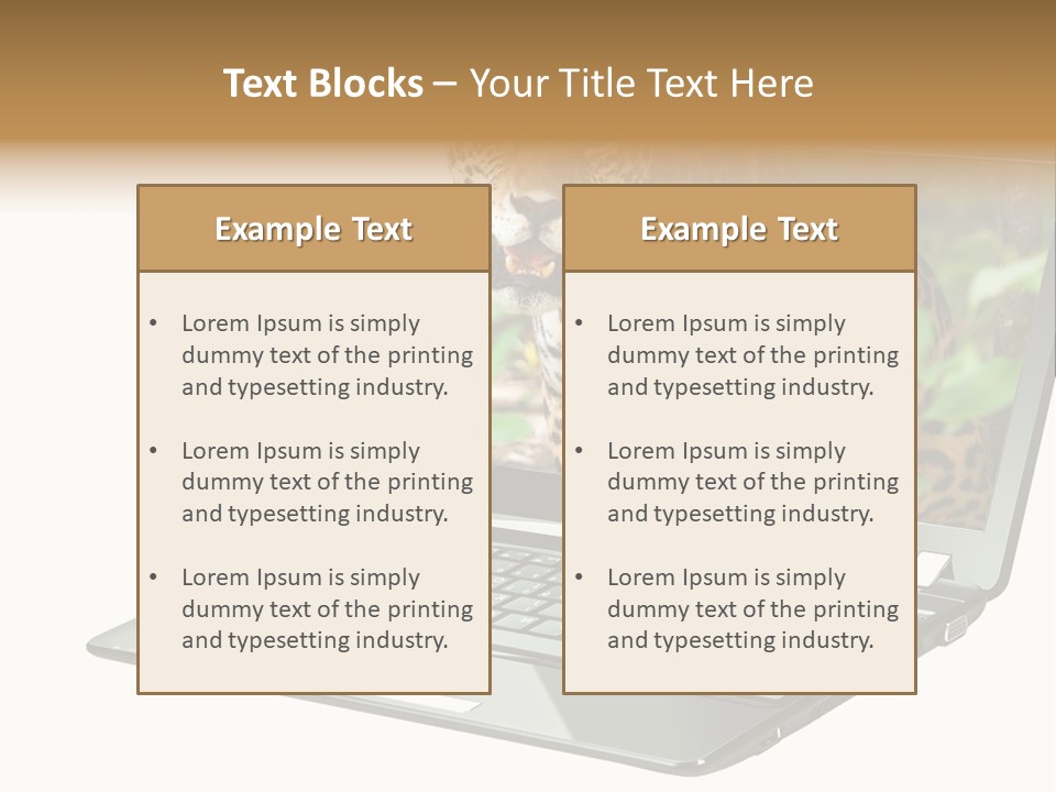 Cat Button Isolated PowerPoint Template