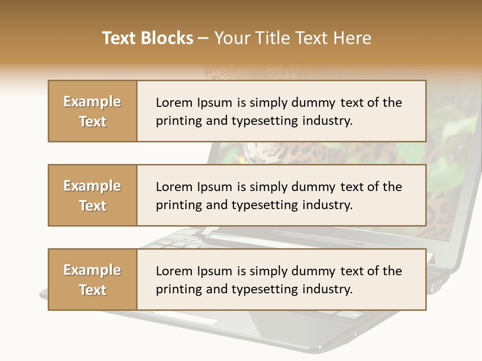 Cat Button Isolated PowerPoint Template