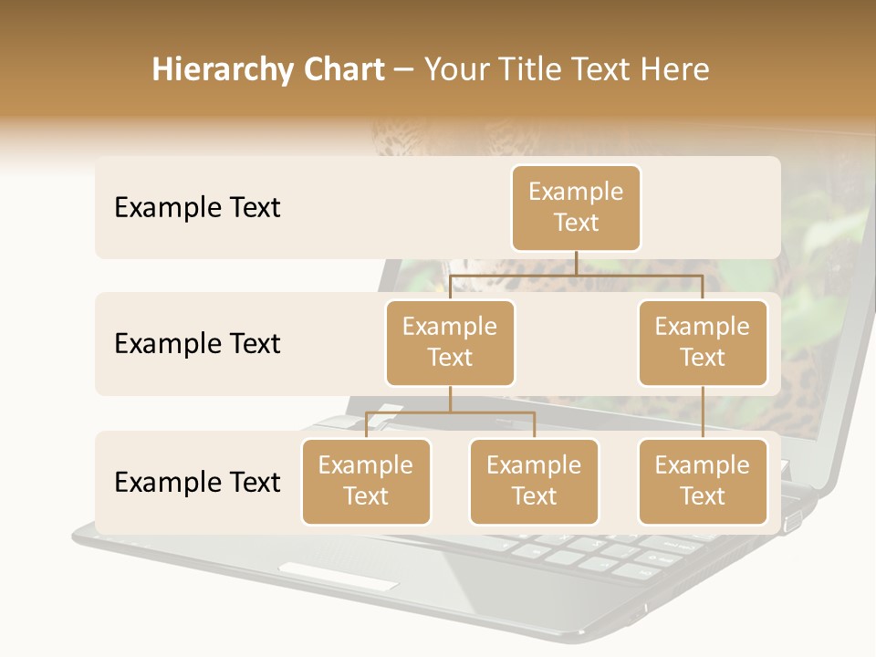 Cat Button Isolated PowerPoint Template