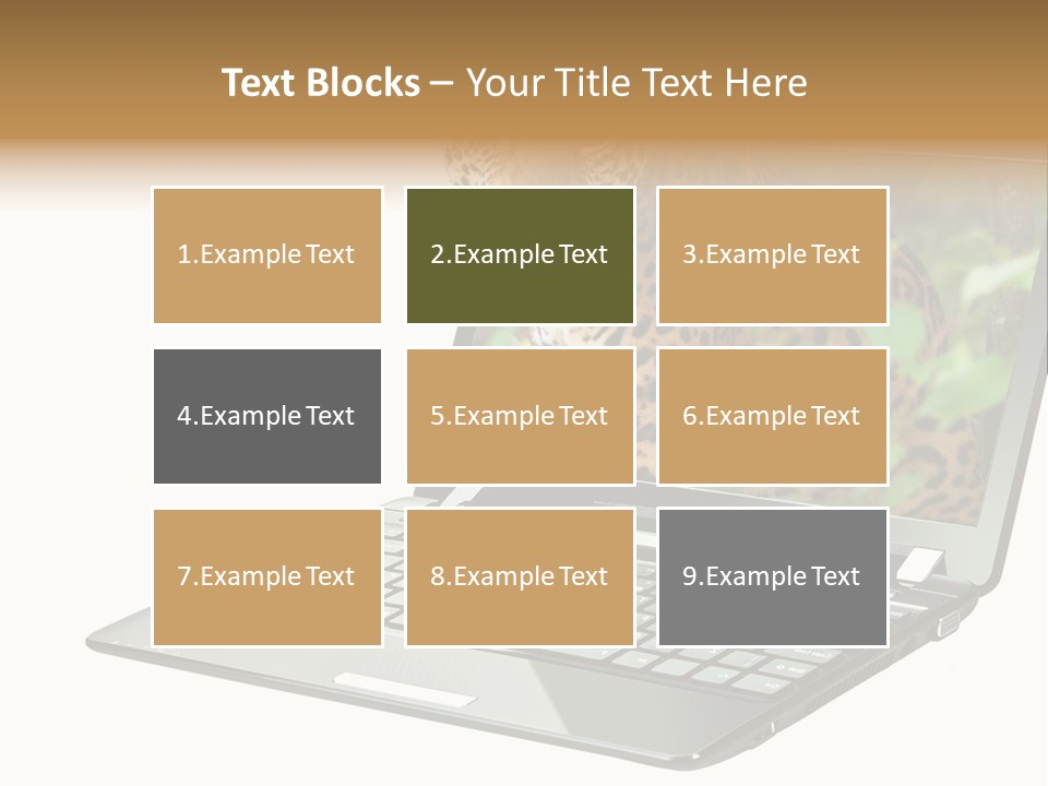 Cat Button Isolated PowerPoint Template