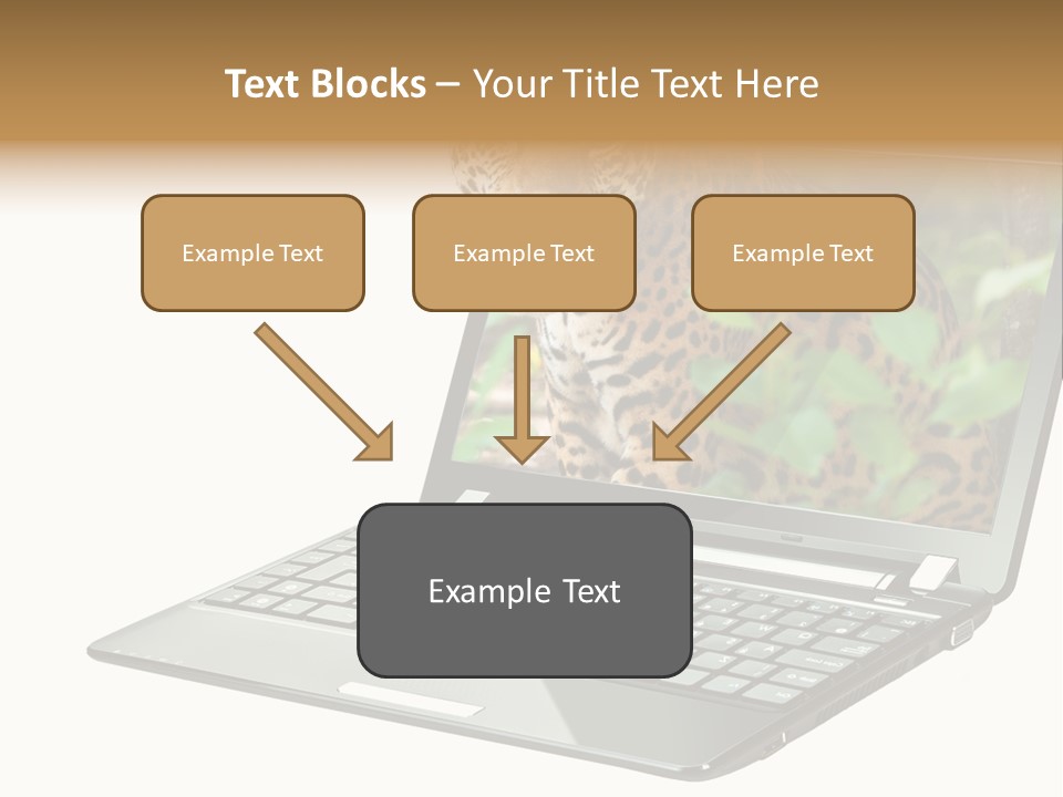 Cat Button Isolated PowerPoint Template
