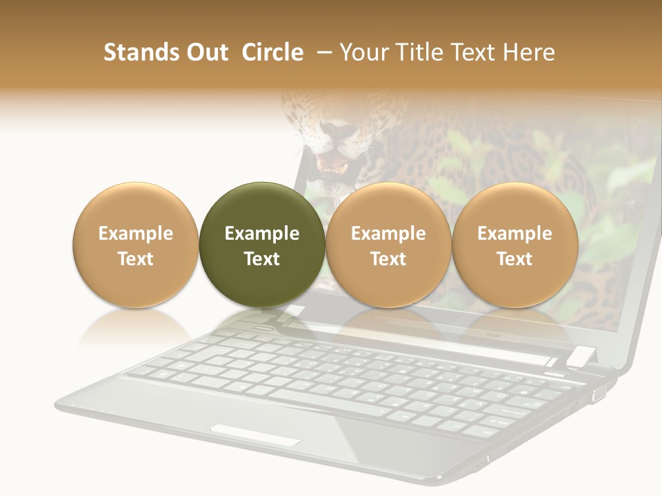 Cat Button Isolated PowerPoint Template