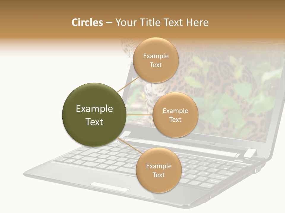 Cat Button Isolated PowerPoint Template