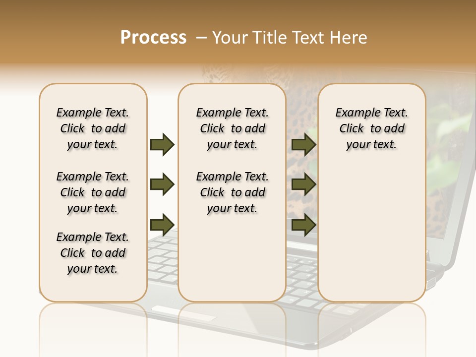Cat Button Isolated PowerPoint Template