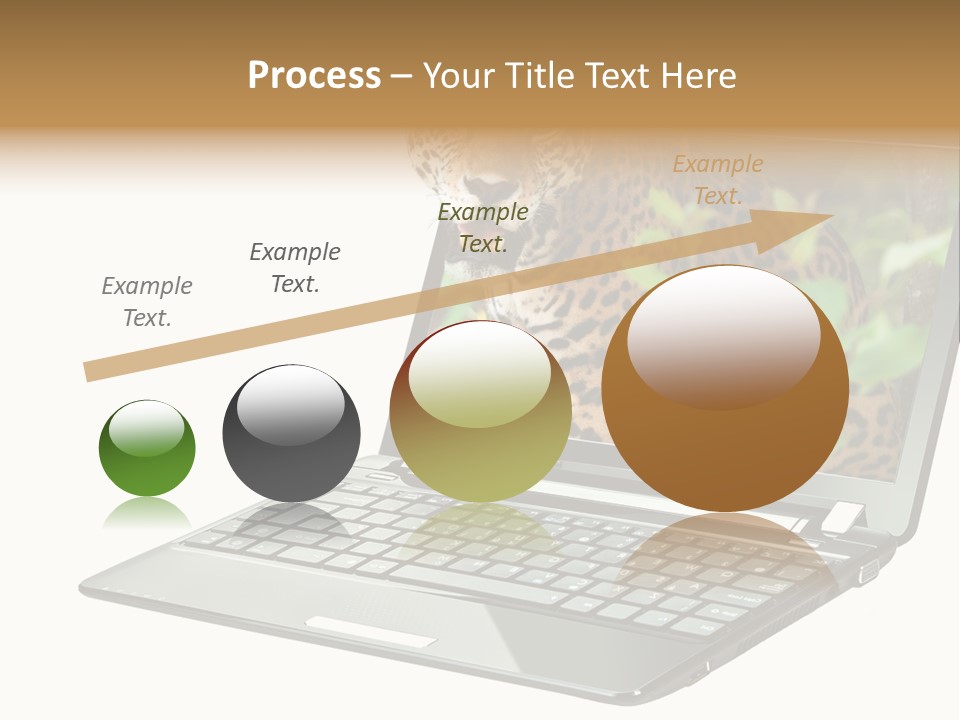 Cat Button Isolated PowerPoint Template