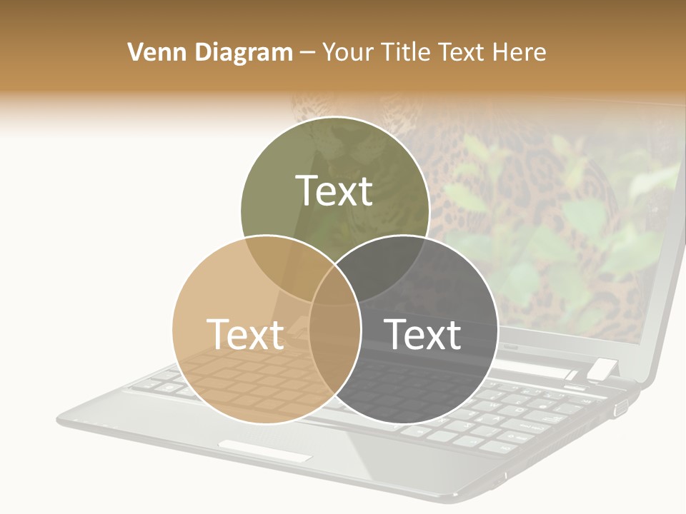 Cat Button Isolated PowerPoint Template