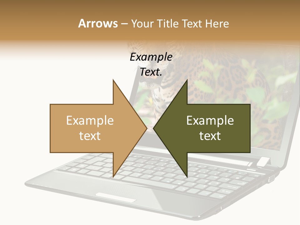 Cat Button Isolated PowerPoint Template