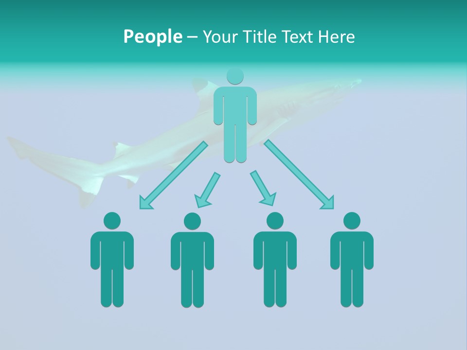 Verano Tiempo Libre Bora Bora PowerPoint Template