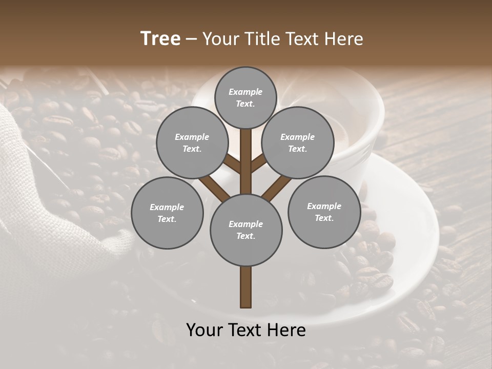 Beverage Color Wood PowerPoint Template