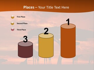 Orange Africa Kenya PowerPoint Template