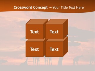 Orange Africa Kenya PowerPoint Template