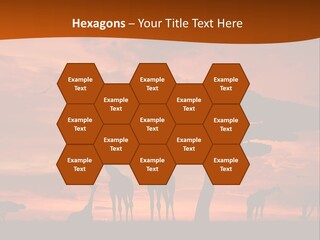 Orange Africa Kenya PowerPoint Template