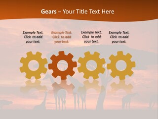 Orange Africa Kenya PowerPoint Template