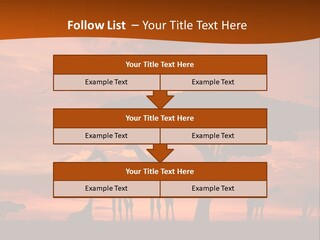 Orange Africa Kenya PowerPoint Template