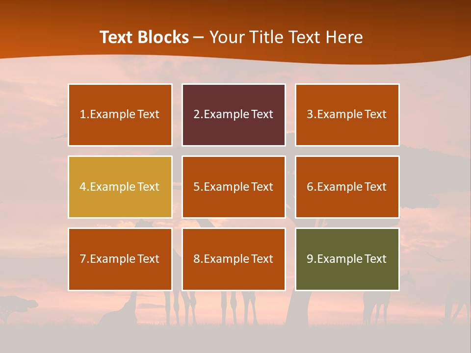 Orange Africa Kenya PowerPoint Template