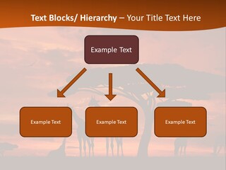 Orange Africa Kenya PowerPoint Template