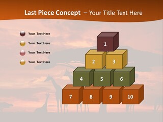 Orange Africa Kenya PowerPoint Template