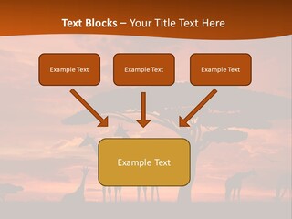 Orange Africa Kenya PowerPoint Template