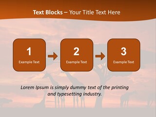Orange Africa Kenya PowerPoint Template
