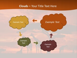 Orange Africa Kenya PowerPoint Template