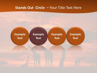Orange Africa Kenya PowerPoint Template