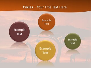 Orange Africa Kenya PowerPoint Template