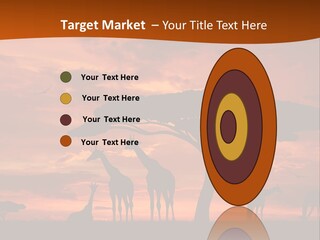 Orange Africa Kenya PowerPoint Template